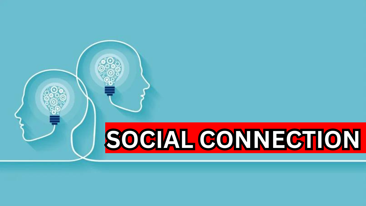 How Social Connection Affects Your Health